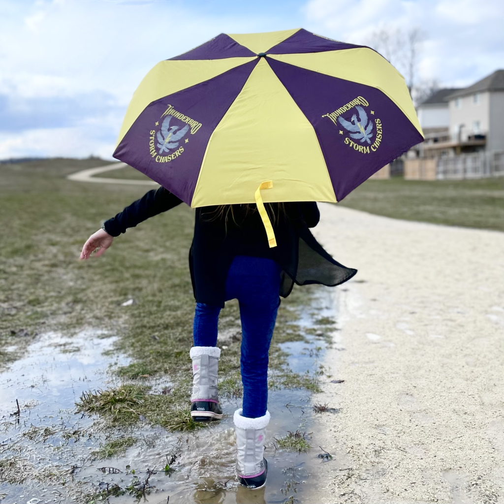 Thunderbird Storm Chaser Umbrella